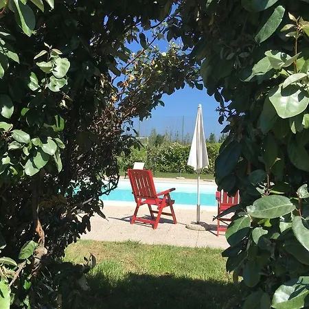 Domominore * Fertilia