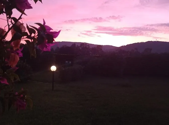 Domominore فيرتيليا