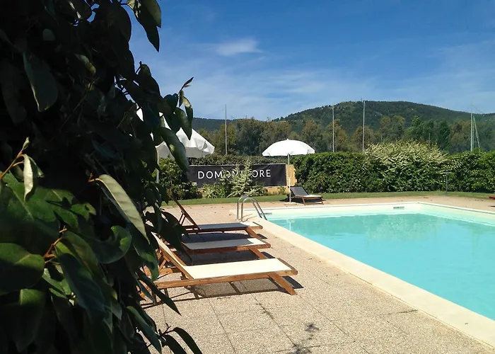 Domominore * فيرتيليا