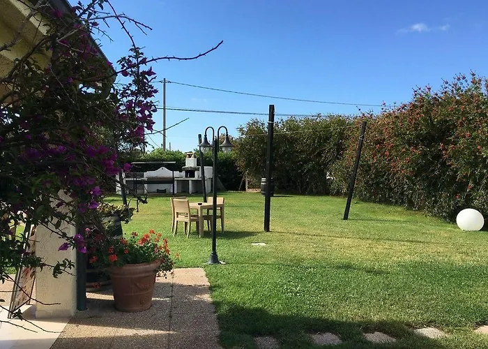 Domominore * فيرتيليا