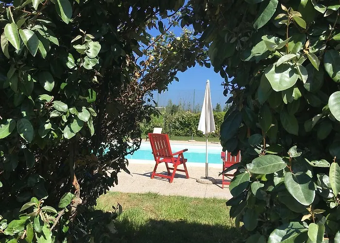 Domominore * فيرتيليا