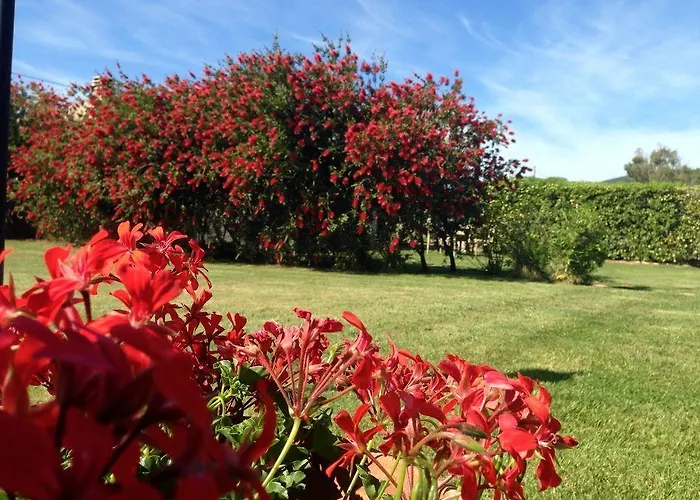 Domominore بيت للعطل *