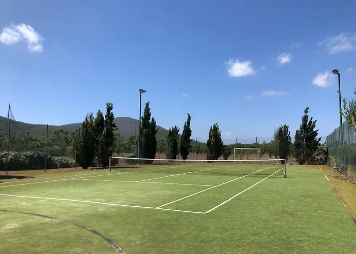 Domominore فيرتيليا